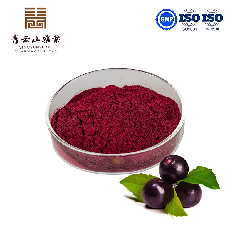 Acai SD Powder