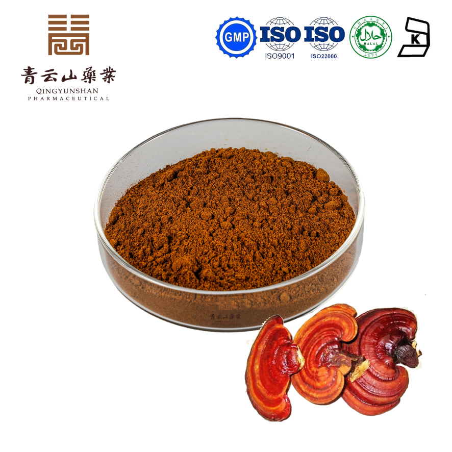 Reishi Mushroom Extract