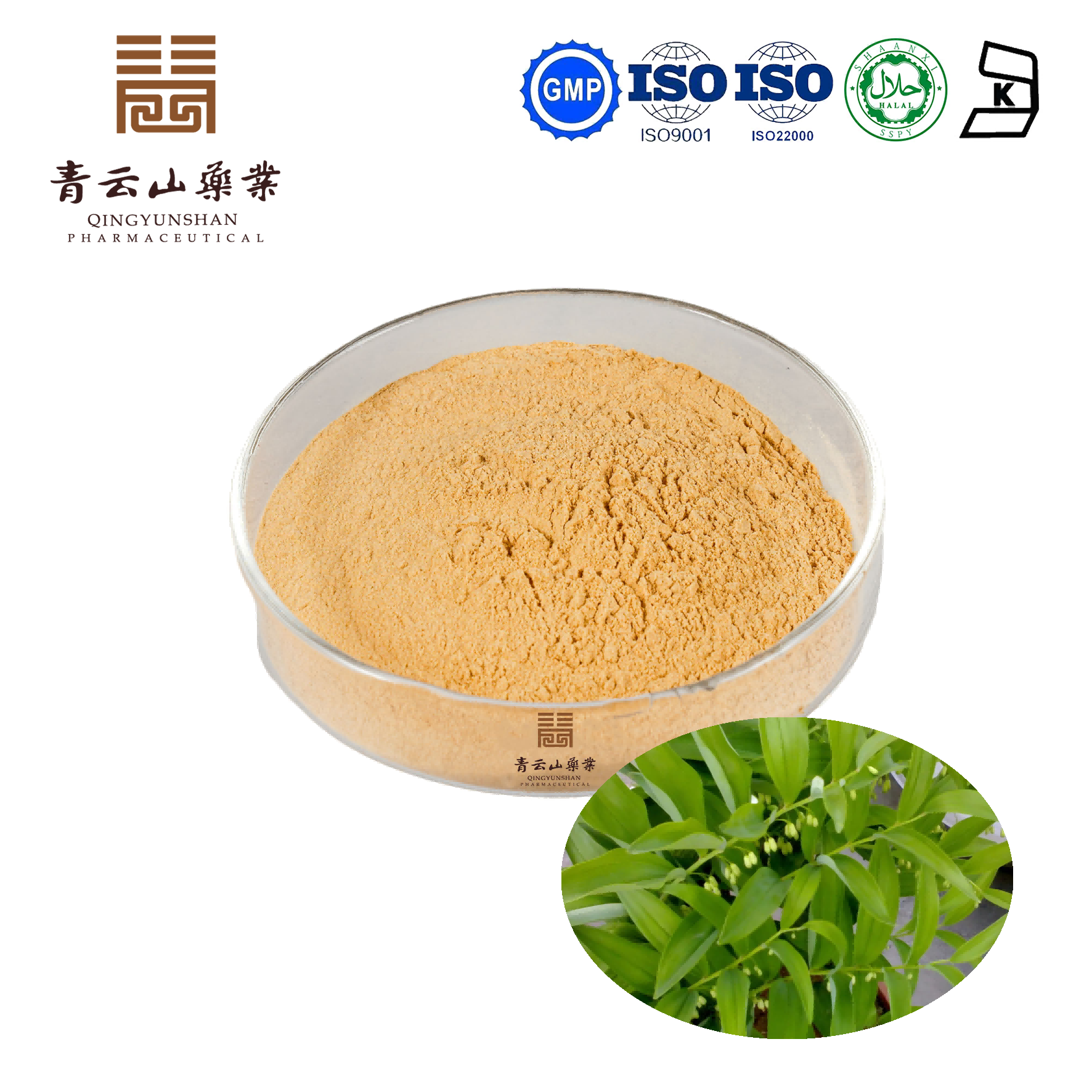 Siberian Solomonseal Rhizome Extract