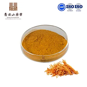 Cordyceps Militaris Powder