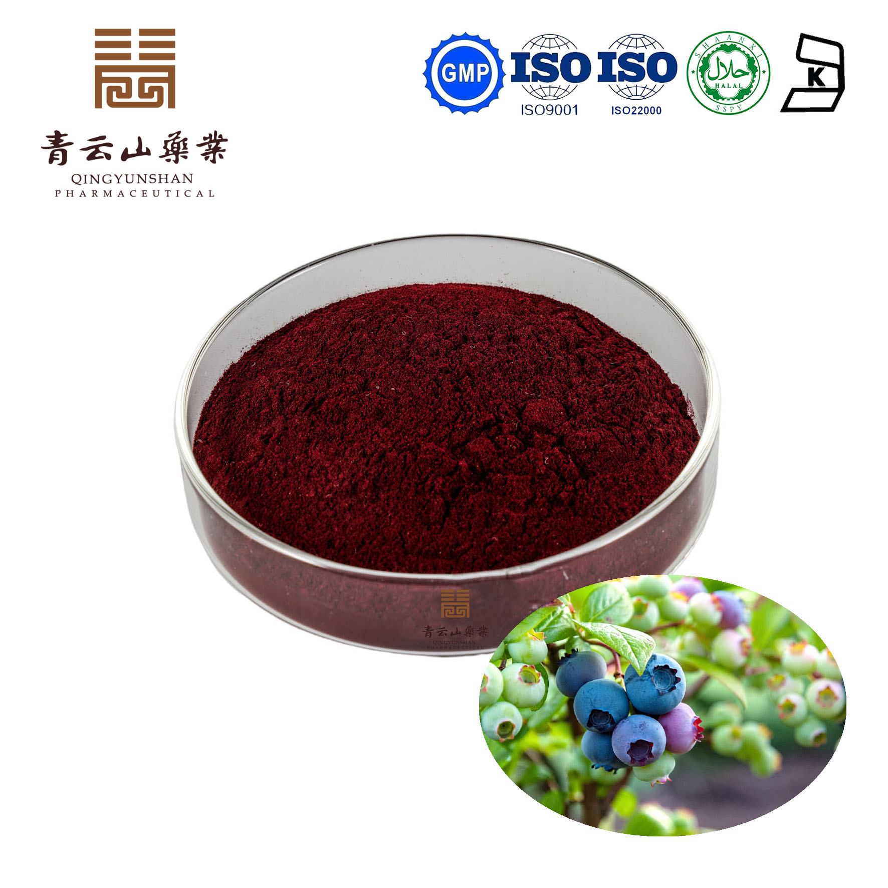 European Bilberry Extract