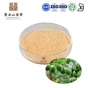 Monk Fruit Extract
