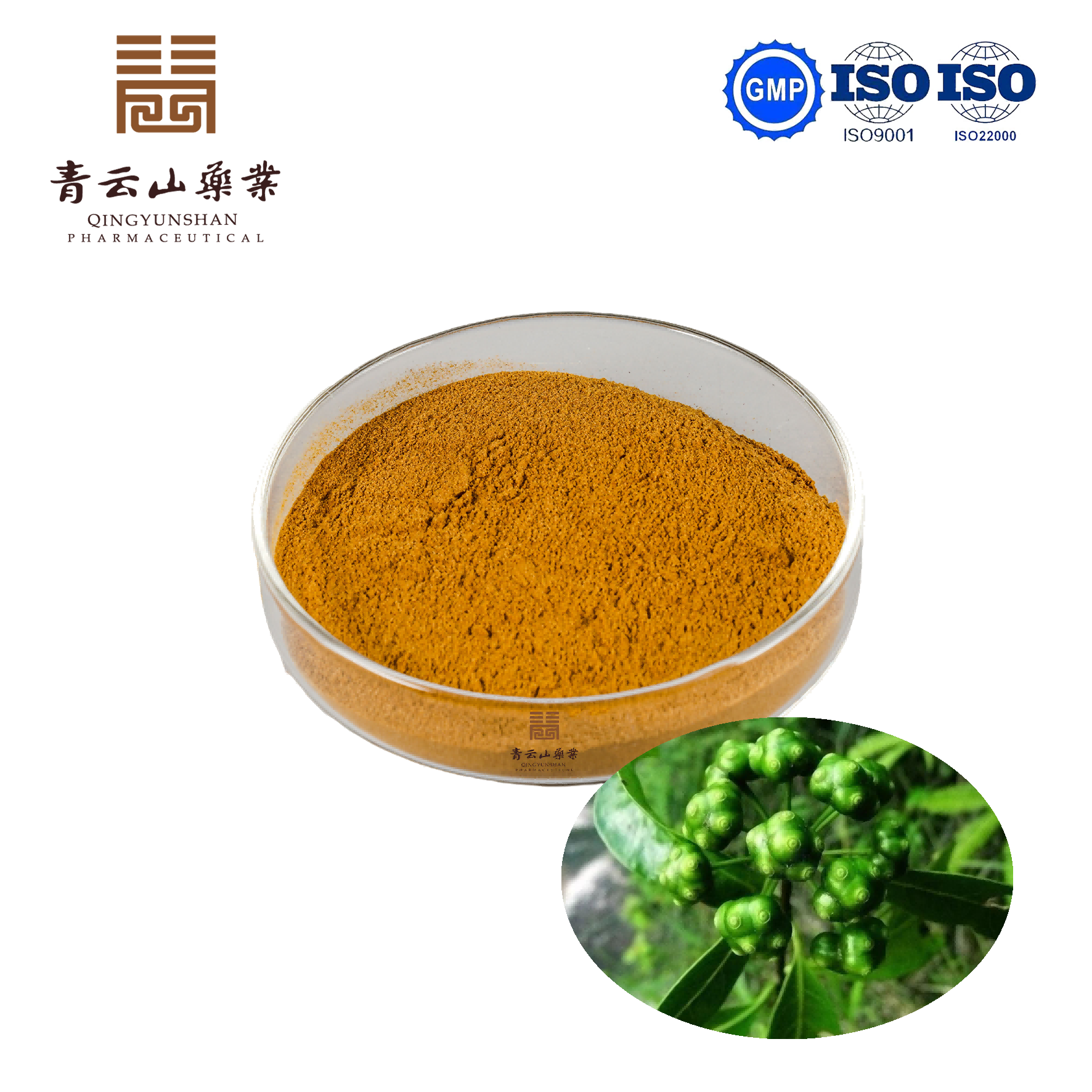 Bacopin Extract