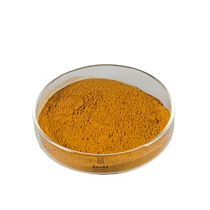 Panax Notoginseng (Tienchi) Extract