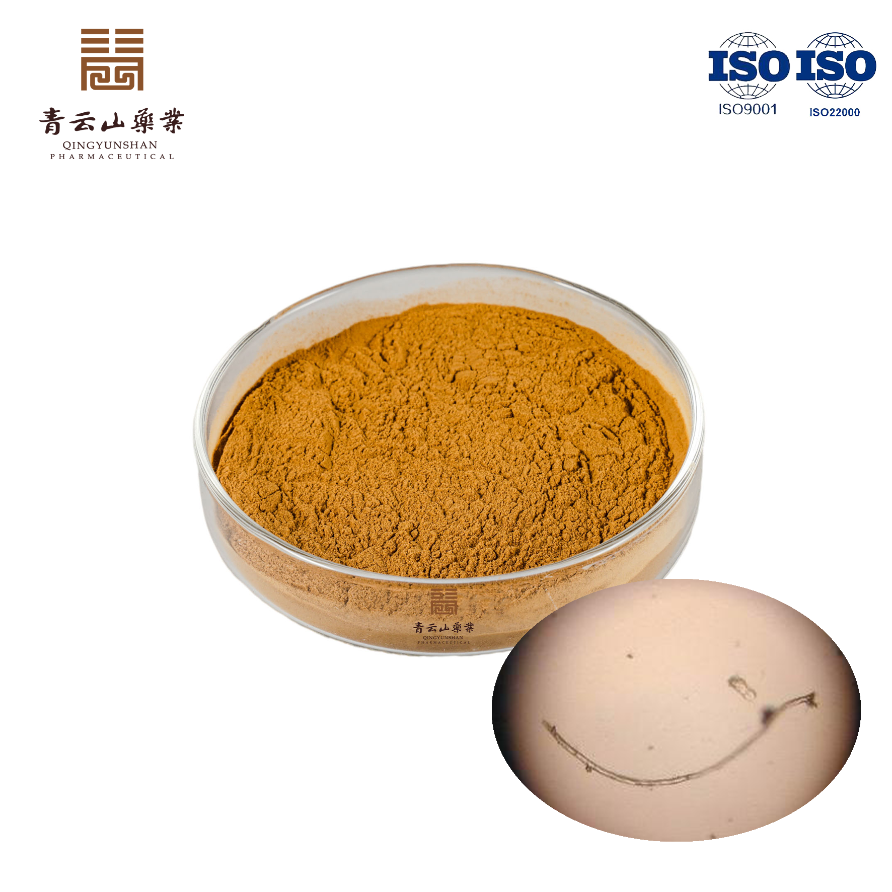 Fermentation Cordyceps Powder
