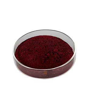 European Bilberry Extract