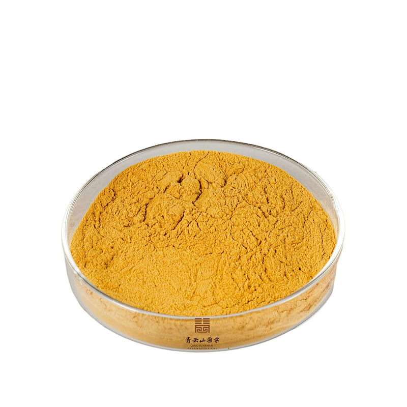 Chrysanthemum Extract