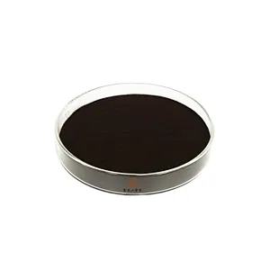 Elderberry Extract Powder
