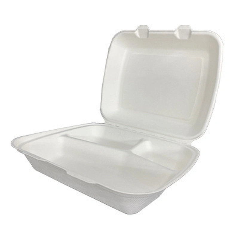 Sugarcane/Bagasse- 10