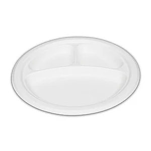 Sugarcane/Bagasse-9