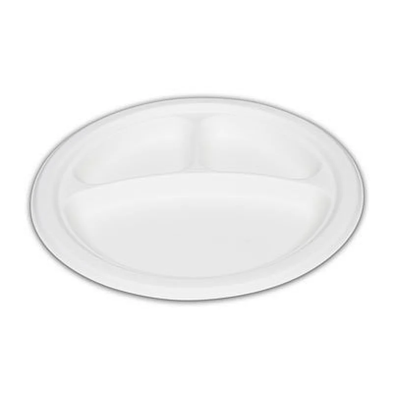 Sugarcane/Bagasse-9