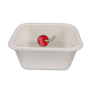 Sugarcane/Bagasse- 250ml Square Container
