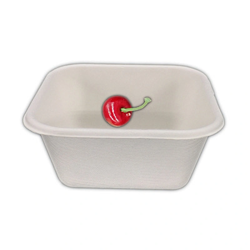 Sugarcane/Bagasse- 250ml Square Container