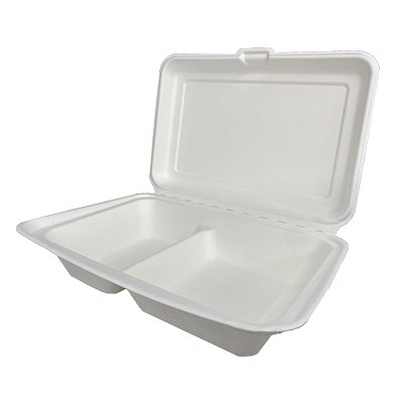 Sugarcane/Bagasse- 10