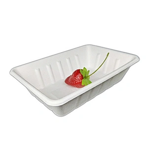 Sugarcane/Bagasse- tray