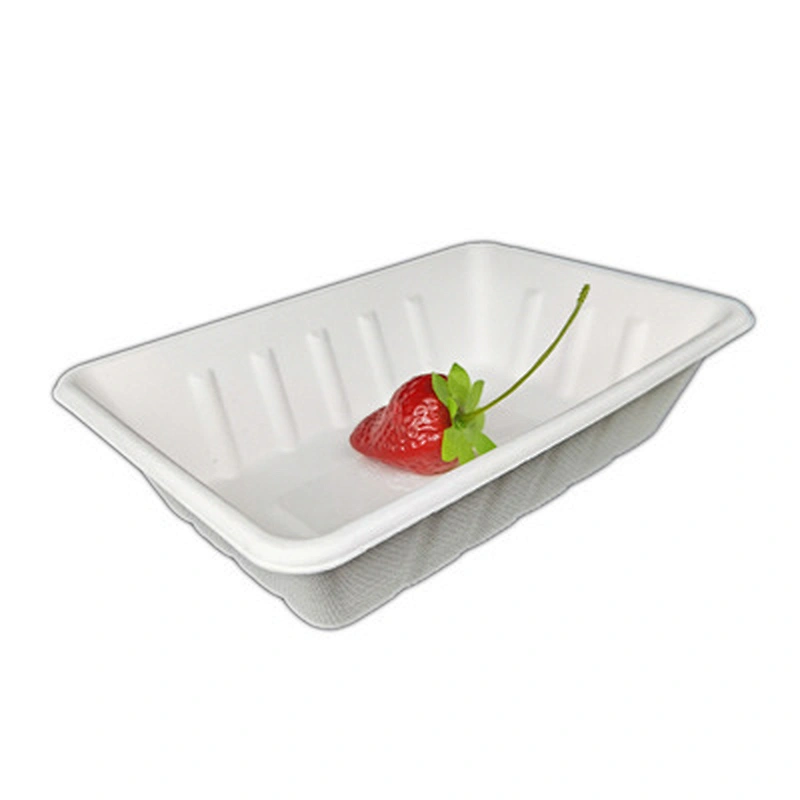 Sugarcane/Bagasse- tray