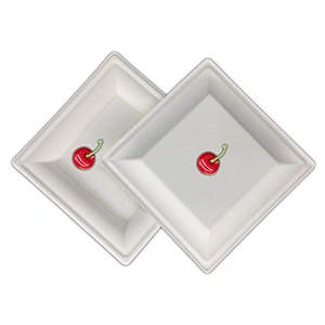 Sugarcane/Bagasse-6