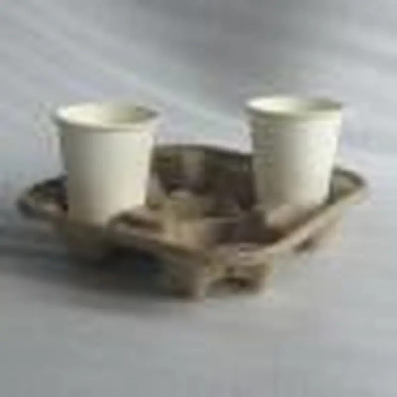 Paper Pulp 4-Cup Carrier