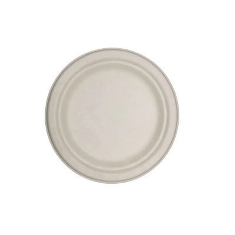 Sugarcane/Bagasse-7