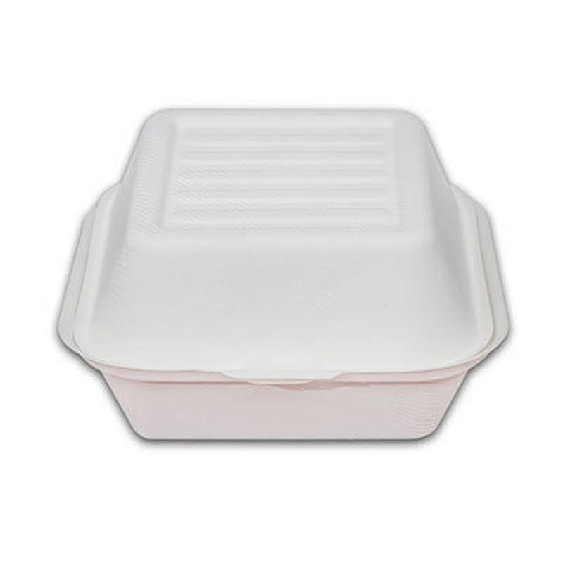 Sugarcane/Bagasse-6