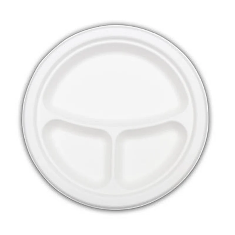 Sugarcane/Bagasse-10