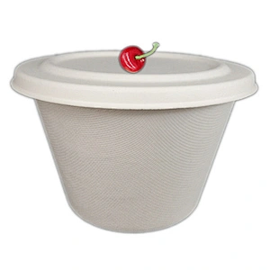 Sugarcane/Bagasse-Lid for ES113