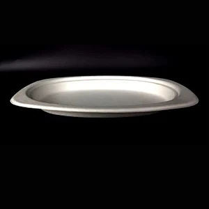 Sugarcane/Bagasse-9