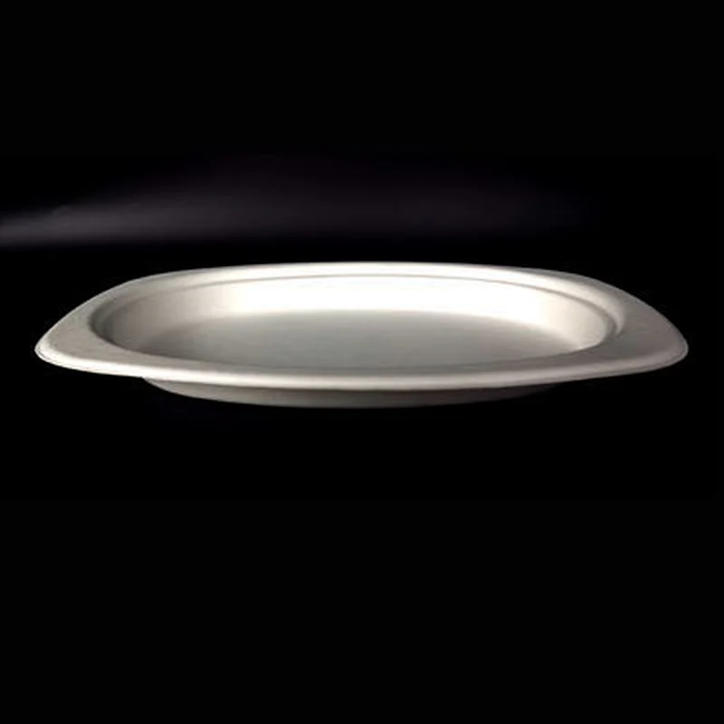 Sugarcane/Bagasse-9