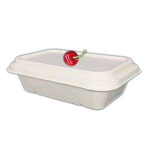 Sugarcane/Bagasse- 1000ml lunch box