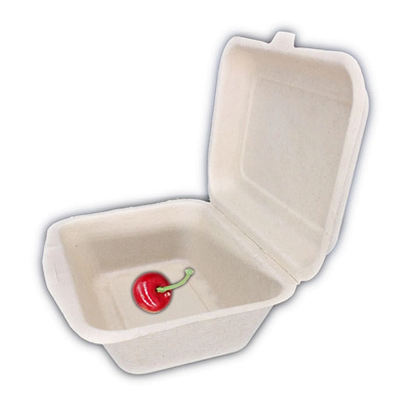 Sugarcane/Bagasse-600ml Clamshell B