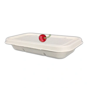 Sugarcane/Bagasse-750ml Tray