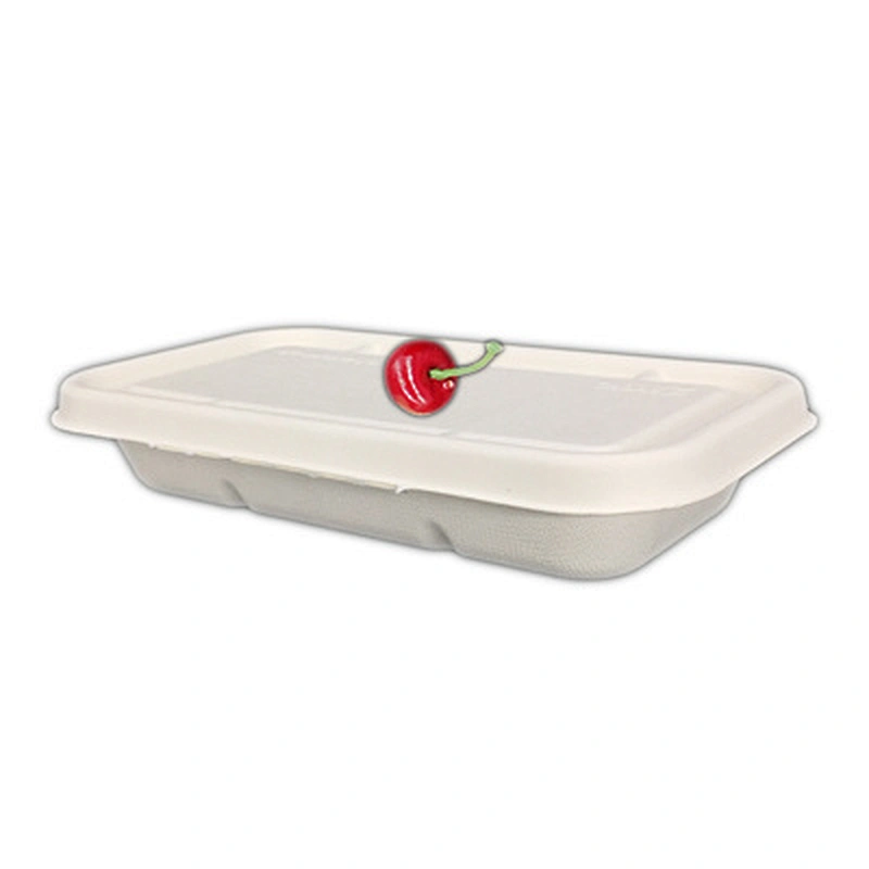 Sugarcane/Bagasse-750ml Tray