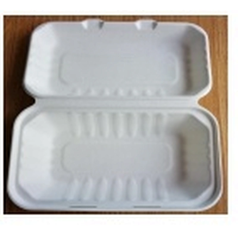Sugarcane/Bagasse-9
