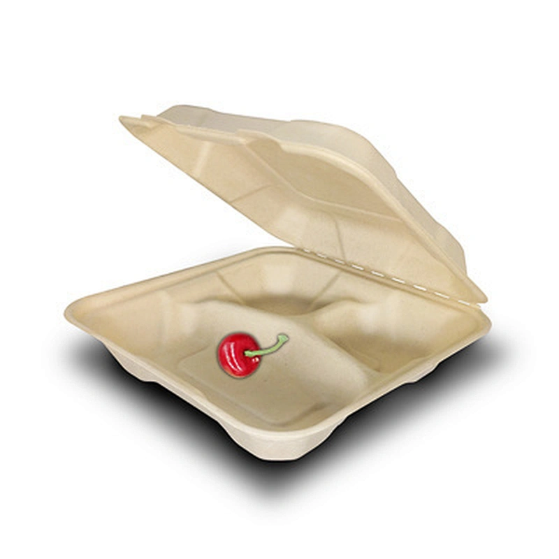 Sugarcane/Bagasse - 8
