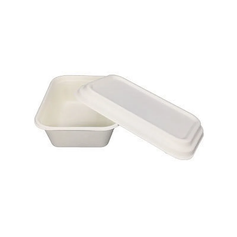Sugarcane/Bagasse- 1300ml lunch box