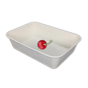 Sugarcane/Bagasse-500ml Rectangular Food Container