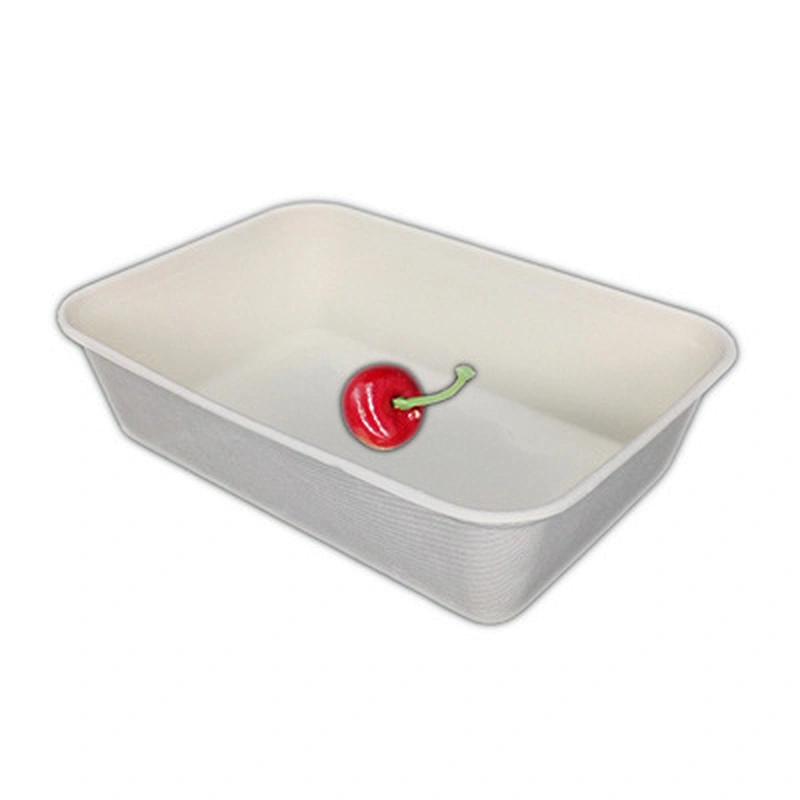 Sugarcane/Bagasse-500ml Rectangular Food Container