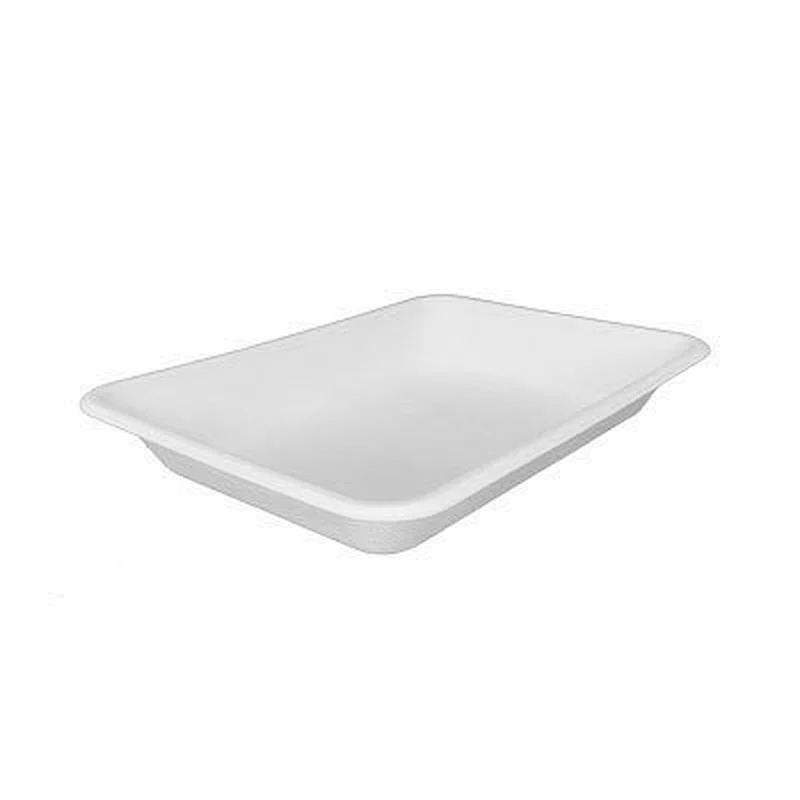 Sugarcane/Bagasse-350ml Tray