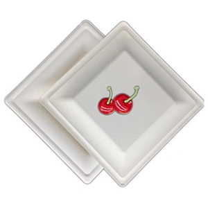 Sugarcane/Bagasse-10