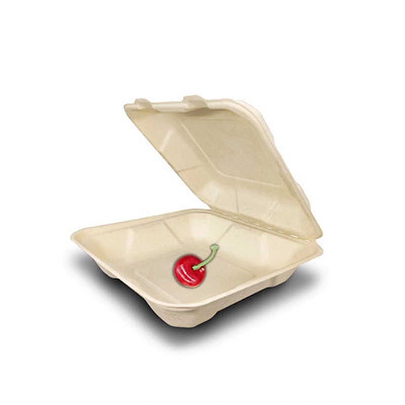 Sugarcane/Bagasse 8
