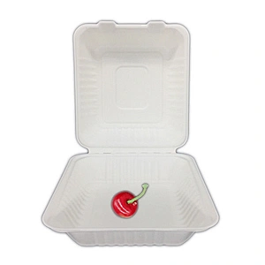 Sugarcane/Bagasse-8