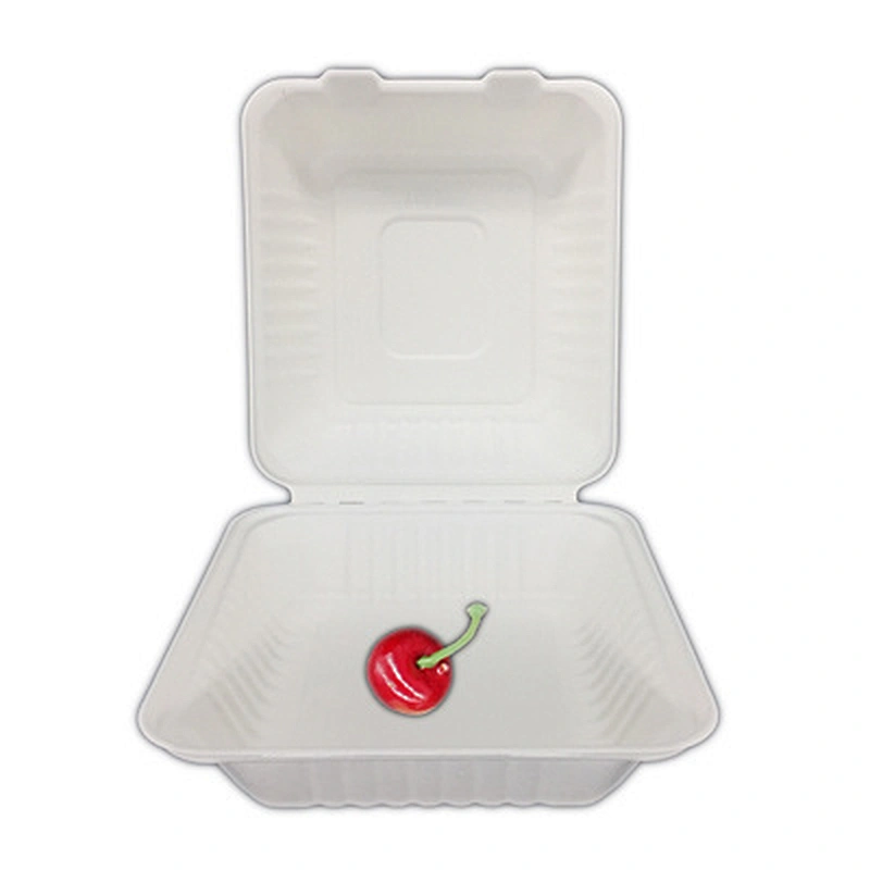 Sugarcane/Bagasse-8