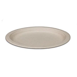 Sugarcane/Bagasse-10