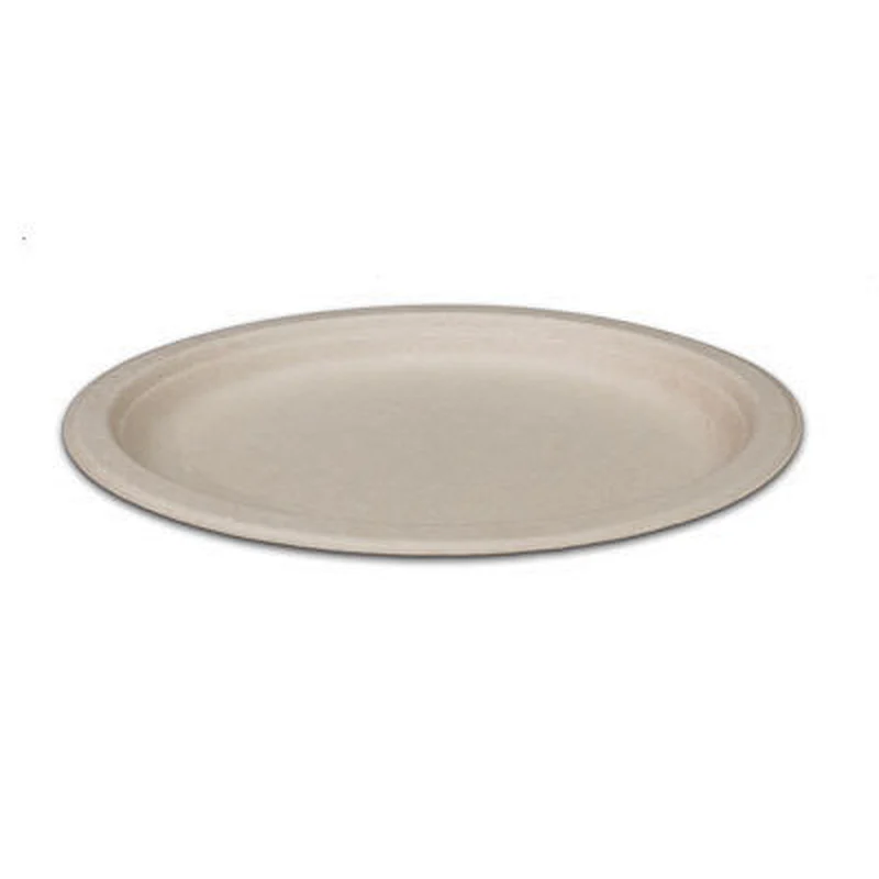 Sugarcane/Bagasse-10