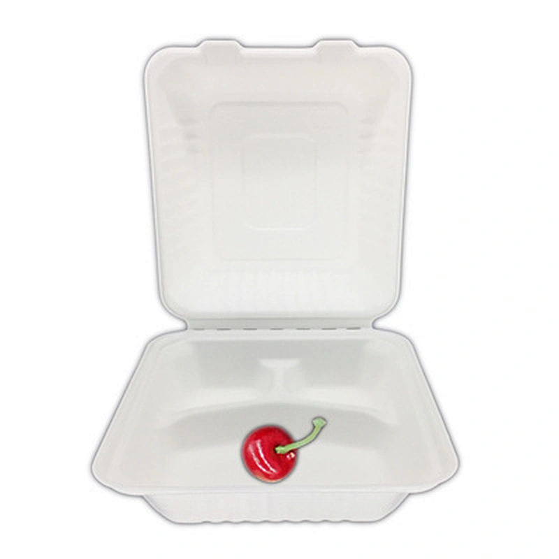 Sugarcane/Bagasse-8