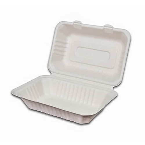 Sugarcane/Bagasse-9