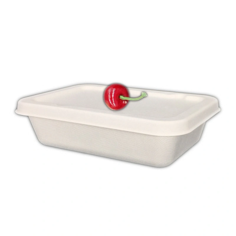 Sugarcane/Bagasse-500ml Food Container