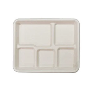 Sugarcane/Bagasse-5-com School Tray‚ Unbleached