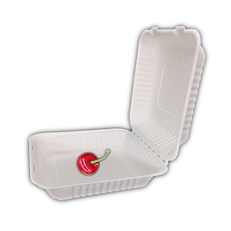 Sugarcane/Bagasse-9