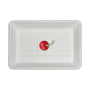 Sugarcane/Bagasse- tray
